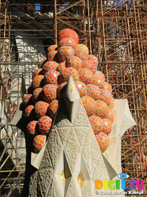 20868 Fruit and scaffolding